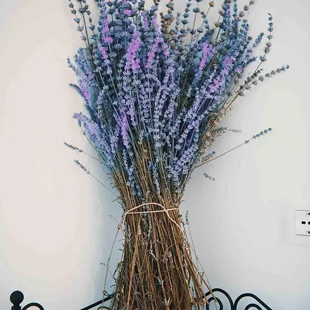 Lavandula House Сasa de vacaciones