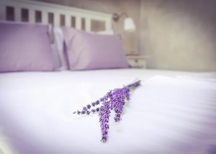 Tatil Evi Lavandula House Štanjel