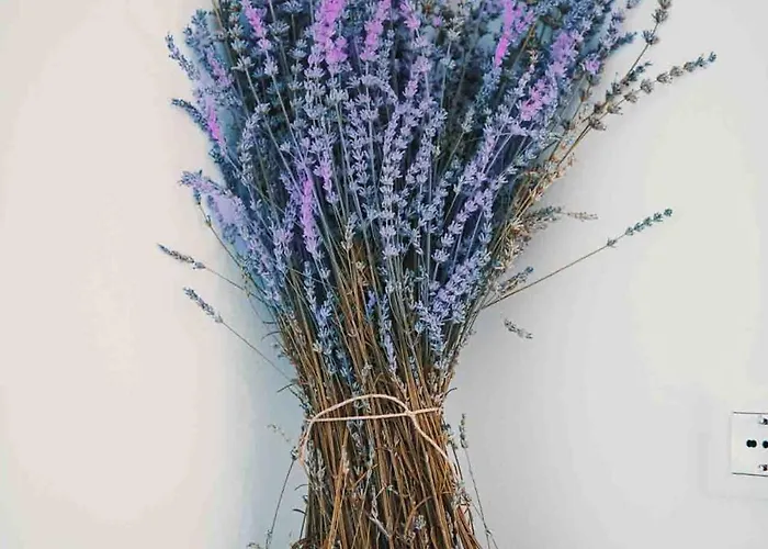 Lavandula House 別荘